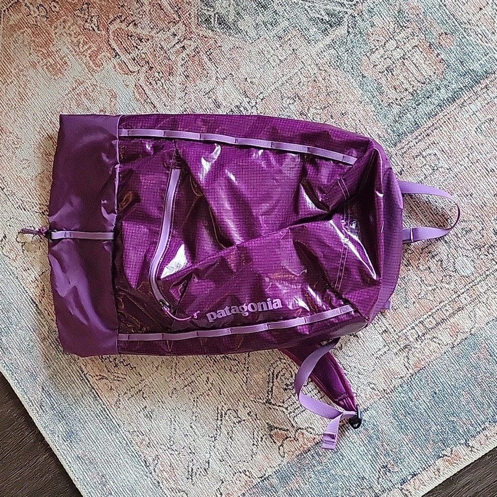 Patagonia backpack